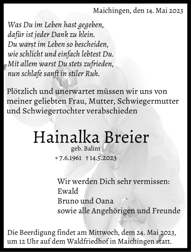 Hainalka Breier